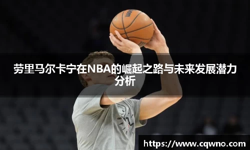 完美体育平台